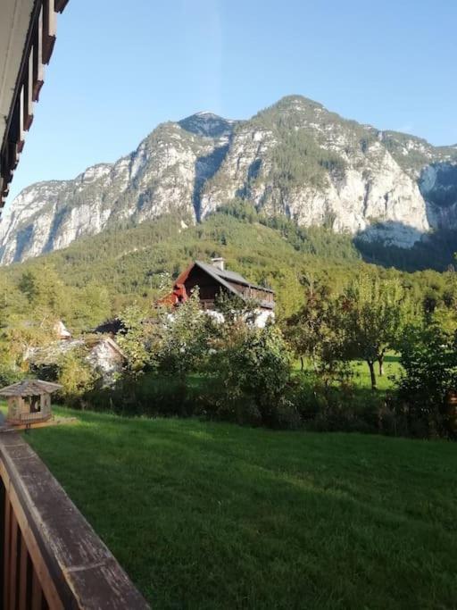 Appartement Apartma Traumblick Obertraun Extérieur photo